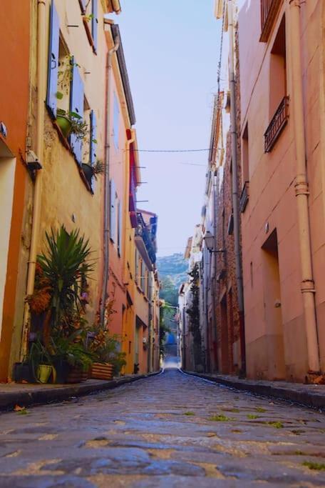Au Coeur De Ville Avec Terrasse Céret Buitenkant foto