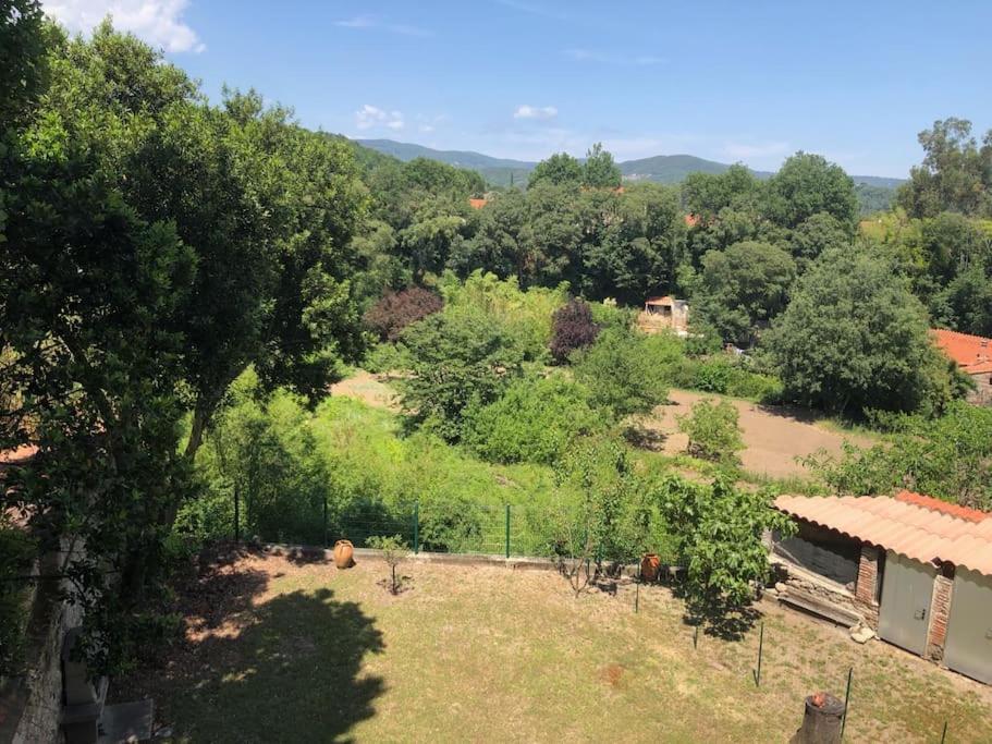 Au Coeur De Ville Avec Terrasse Céret Buitenkant foto